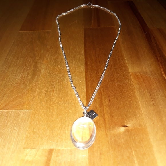 Dandelion Wish Oval Necklace - Picture 3 of 6